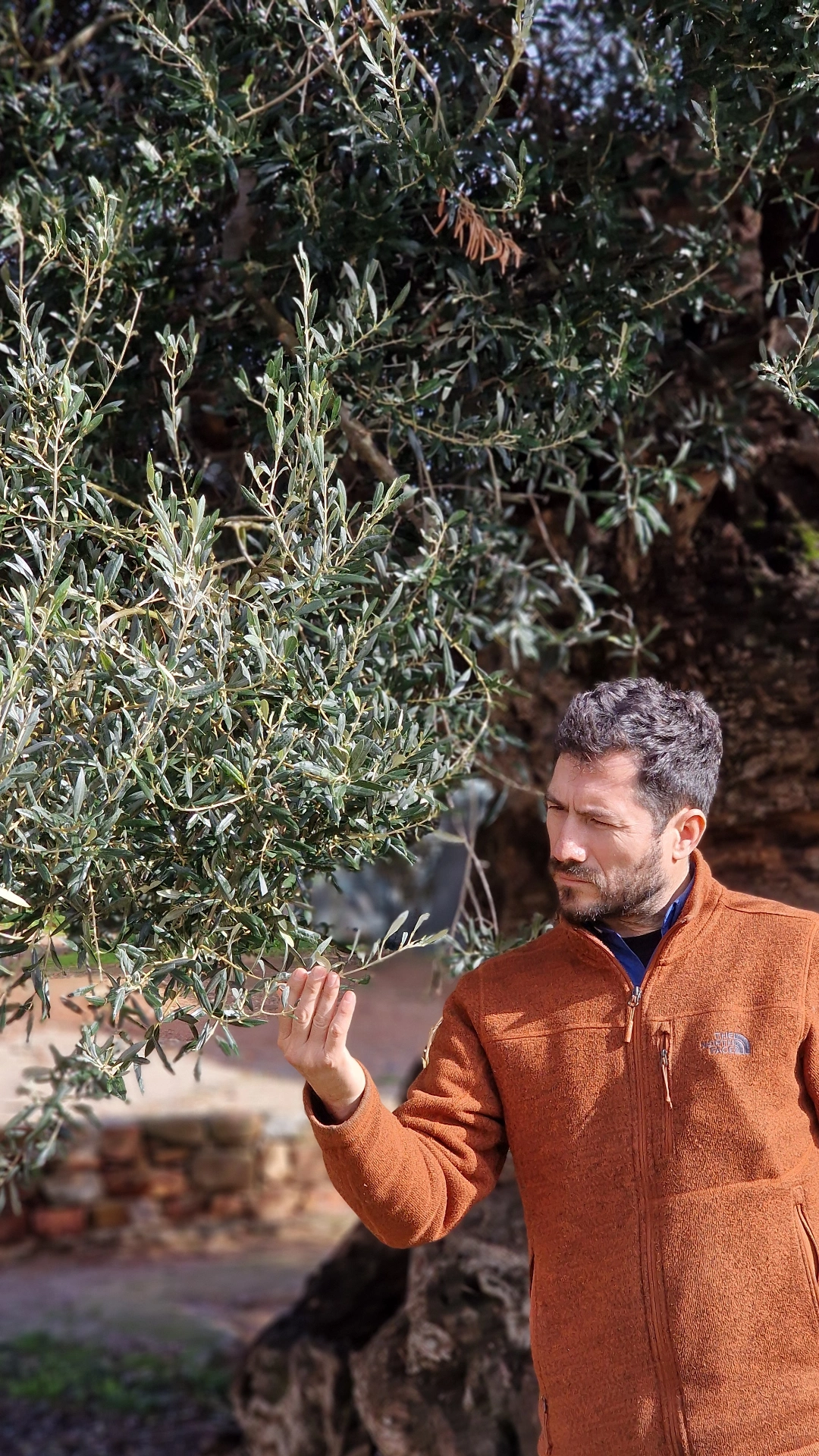 Arqueología del Descanso